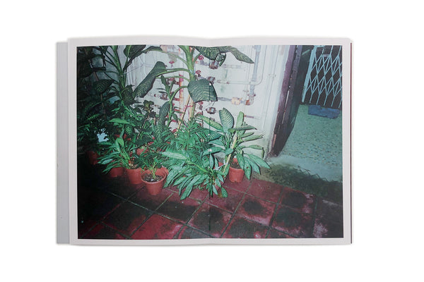 Vasili Vasileiadis / The Other Side