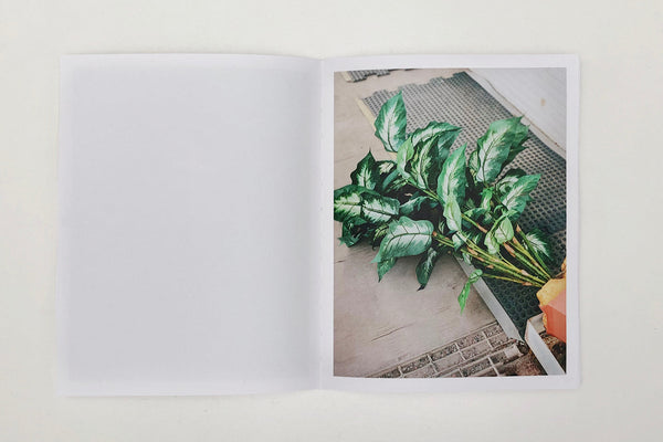 Michael Garbutt / Pitiless — Special Edition with Print