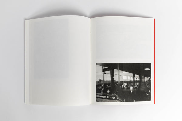 Sean Davey / Dog Food & Oysters