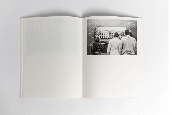 Sean Davey / Dog Food & Oysters