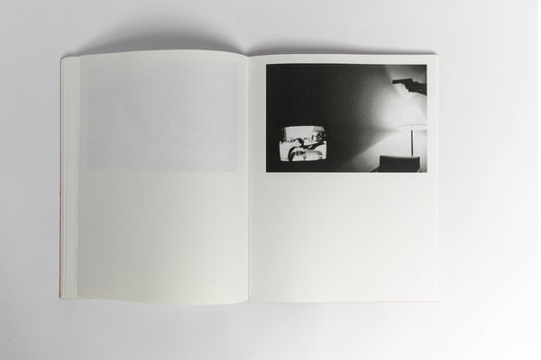 Sean Davey / Dog Food & Oysters