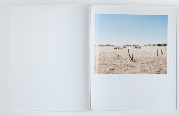 Laurence Watts / Looking West — Special Edition with Print
