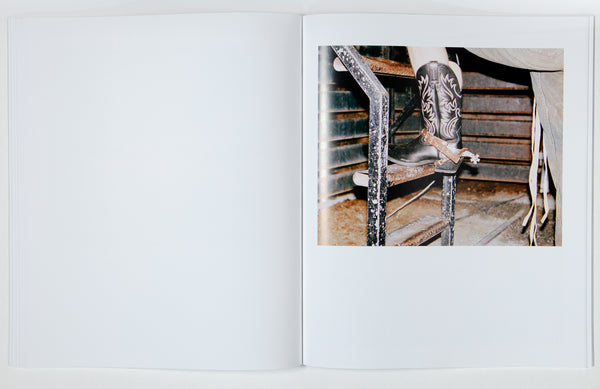 Laurence Watts / Looking West — Special Edition with Print