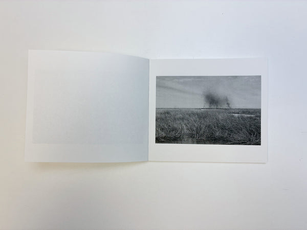 William Vallender / Gasolina