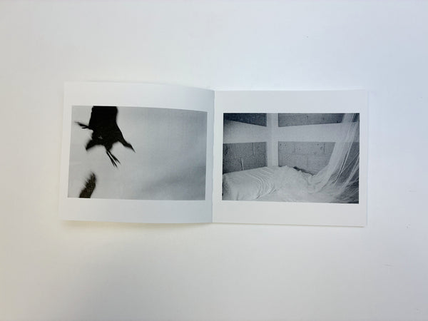 William Vallender / Gasolina