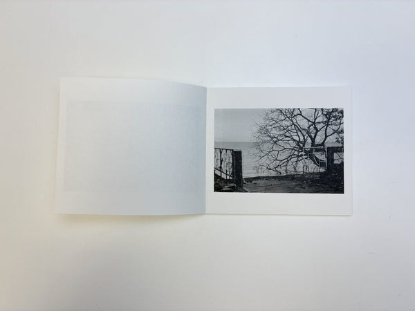 William Vallender / Gasolina