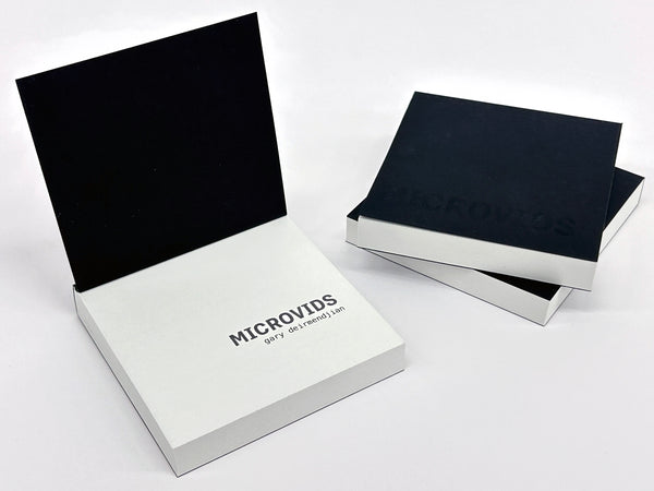 Gary Deirmendjian / MICROVIDS